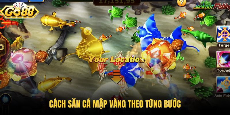 cach-san-ca-map-vang-theo-tung-buoc